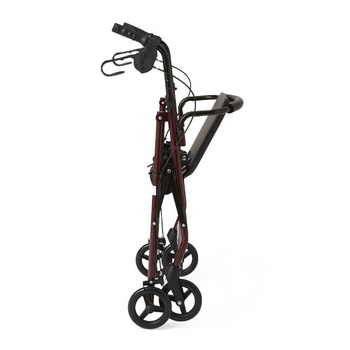 Basic Steel Rollator with 6" Wheels