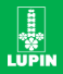 Lupin